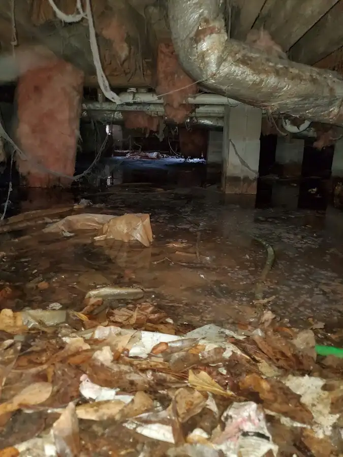 Crawl space flood assessment for Leak Detection & Repair in Pass Christian